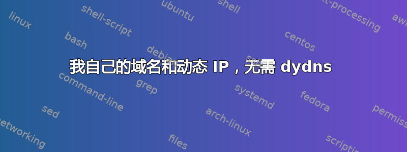 我自己的域名和动态 IP，无需 dydns