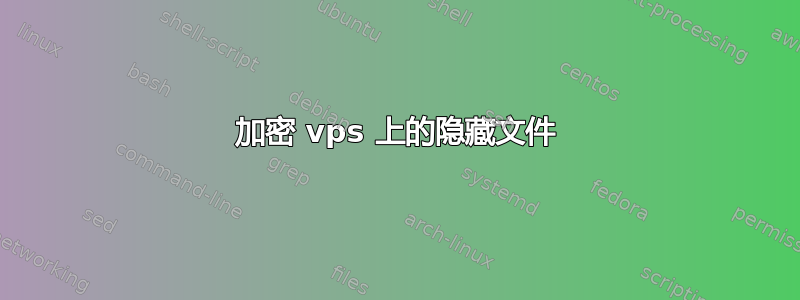 加密 vps 上的隐藏文件