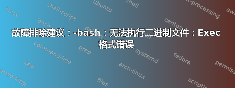 故障排除建议：-bash：无法执行二进制文件：Exec 格式错误