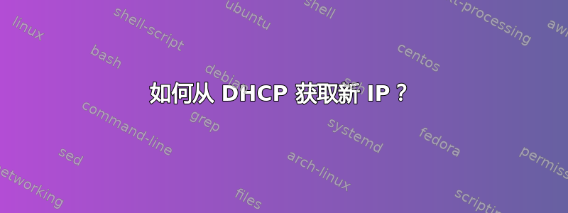 如何从 DHCP 获取新 IP？