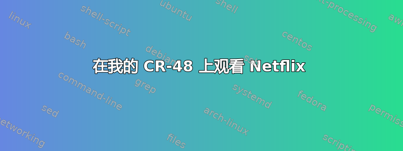 在我的 CR-48 上观看 Netflix