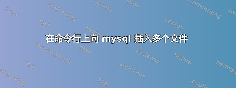 在命令行上向 mysql 插入多个文件