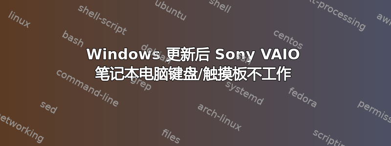 Windows 更新后 Sony VAIO 笔记本电脑键盘/触摸板不工作