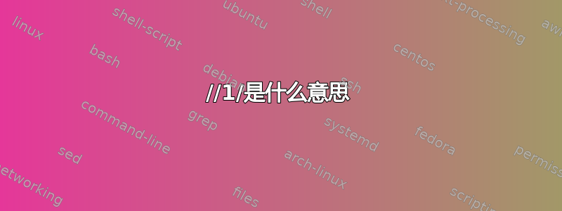 //1/是什么意思