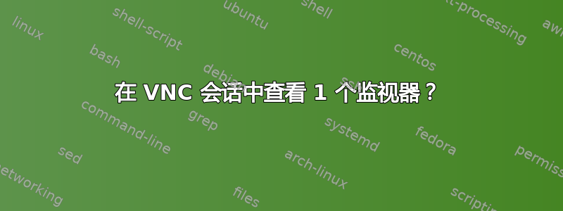 在 VNC 会话中查看 1 个监视器？