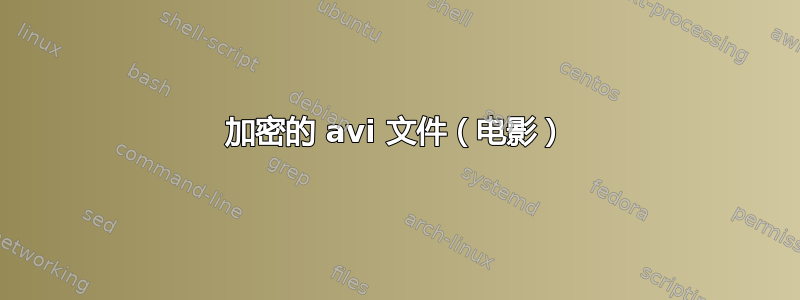 加密的 avi 文件（电影）