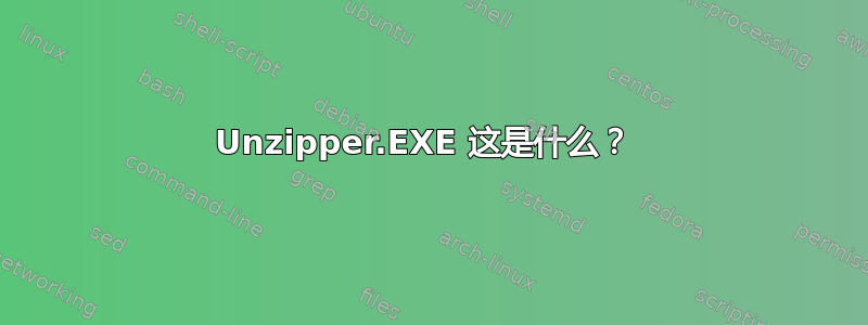 Unzipper.EXE 这是什么？ 