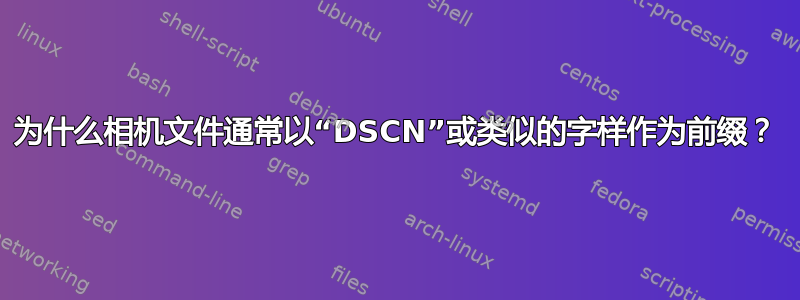 为什么相机文件通常以“DSCN”或类似的字样作为前缀？