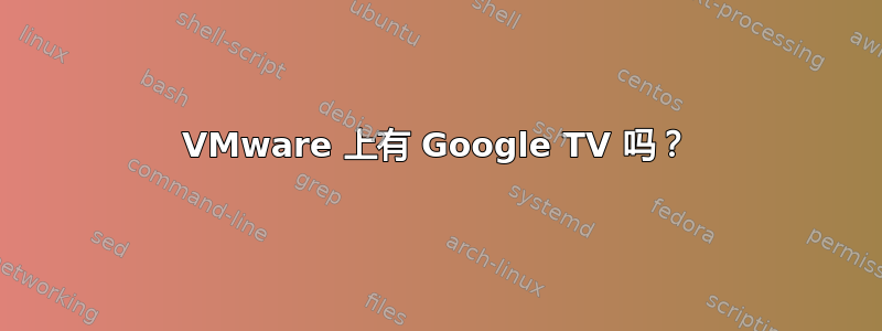 VMware 上有 Google TV 吗？