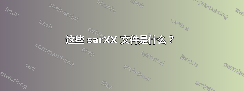 这些 sarXX 文件是什么？