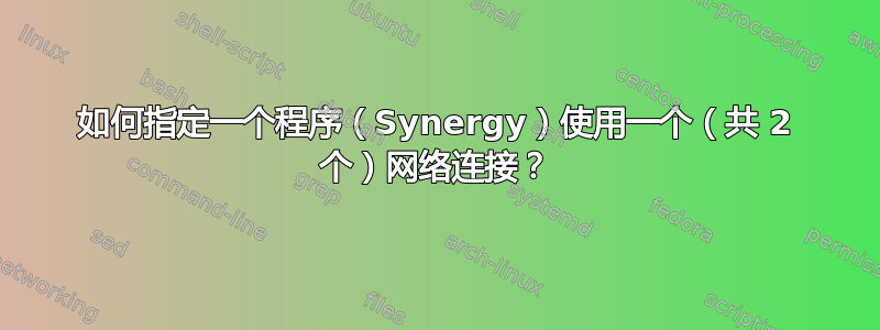 如何指定一个程序（Synergy）使用一个（共 2 个）网络连接？