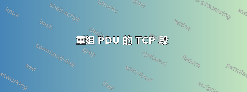 重组 PDU 的 TCP 段