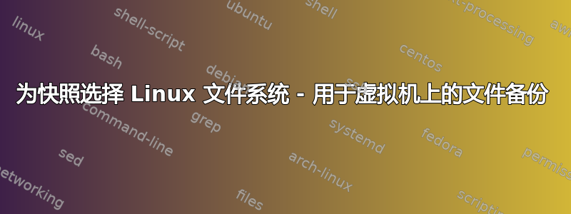 为快照选择 Linux 文件系统 - 用于虚拟机上的文件备份