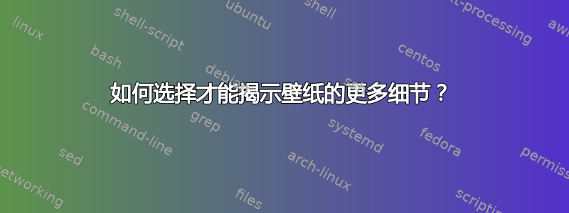 如何选择才能揭示壁纸的更多细节？