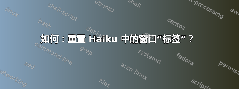 如何：重置 Haiku 中的窗口“标签”？