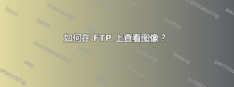 如何在 FTP 上查看图像？