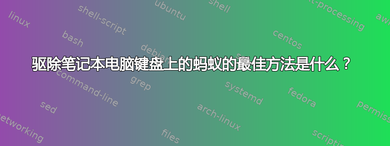 驱除笔记本电脑键盘上的蚂蚁的最佳方法是什么？