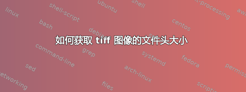 如何获取 tiff 图像的文件头大小