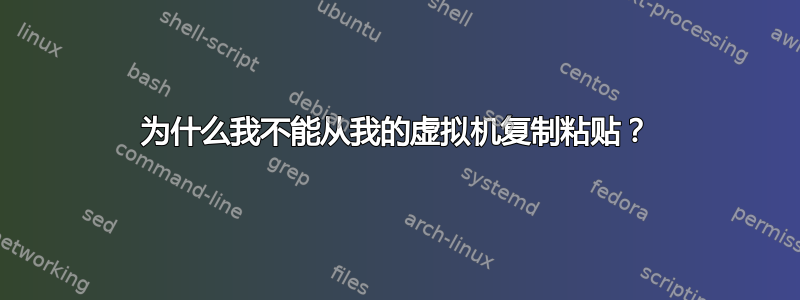 为什么我不能从我的虚拟机复制粘贴？