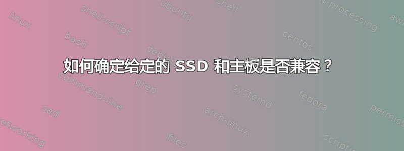 如何确定给定的 SSD 和主板是否兼容？