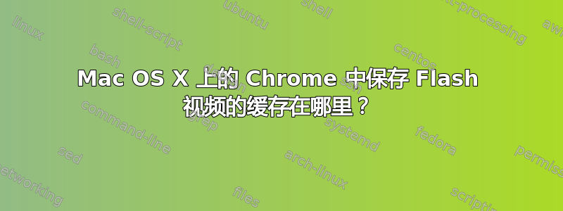 Mac OS X 上的 Chrome 中保存 Flash 视频的缓存在哪里？