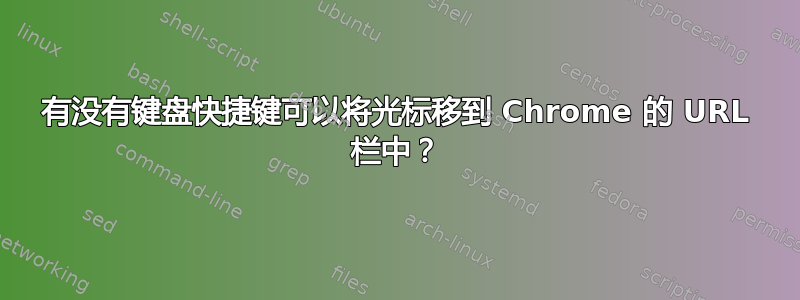 有没有键盘快捷键可以将光标移到 Chrome 的 URL 栏中？