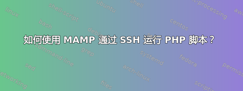 如何使用 MAMP 通过 SSH 运行 PHP 脚本？