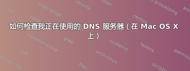 如何检查我正在使用的 DNS 服务器（在 Mac OS X 上）