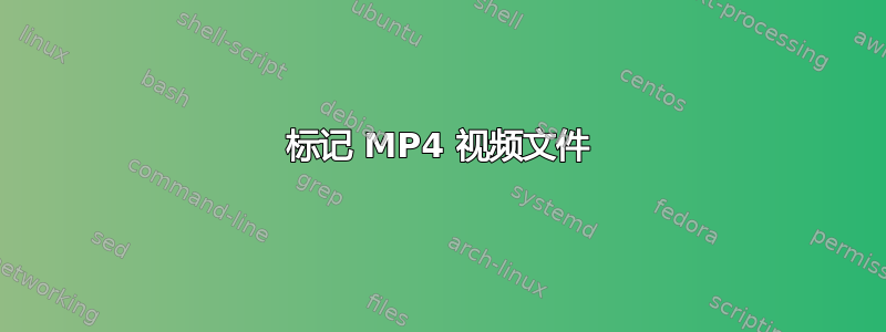 标记 MP4 视频文件