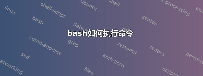 bash如何执行命令