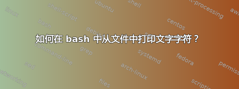 如何在 bash 中从文件中打印文字字符？