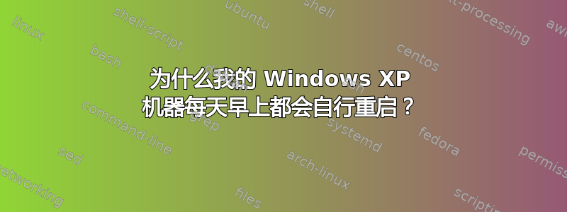 为什么我的 Windows XP 机器每天早上都会自行重启？