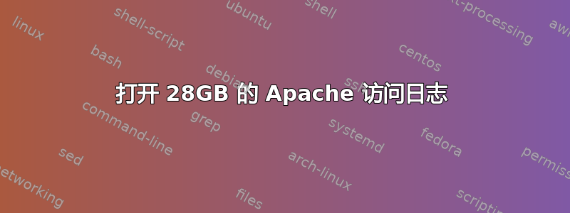 打开 28GB 的​​ Apache 访问日志