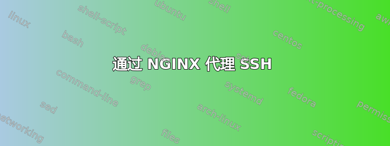 通过 NGINX 代理 SSH