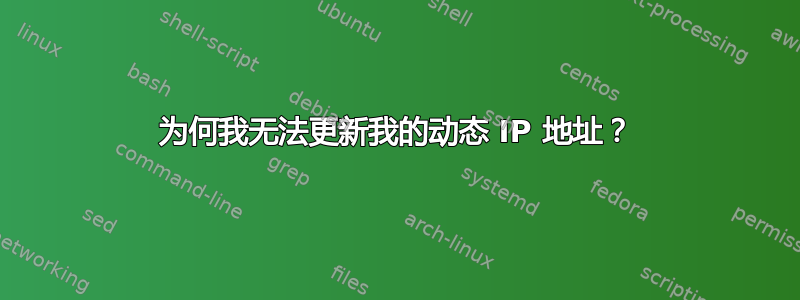 为何我无法更新我的动态 IP 地址？