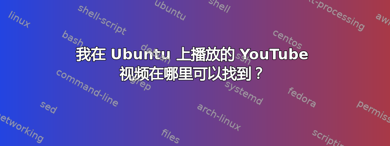 我在 Ubuntu 上播放的 YouTube 视频在哪里可以找到？