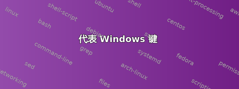 代表 Windows 键