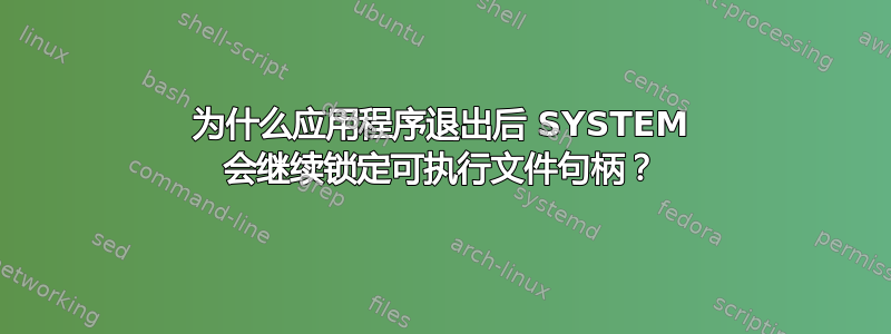 为什么应用程序退出后 SYSTEM 会继续锁定可执行文件句柄？