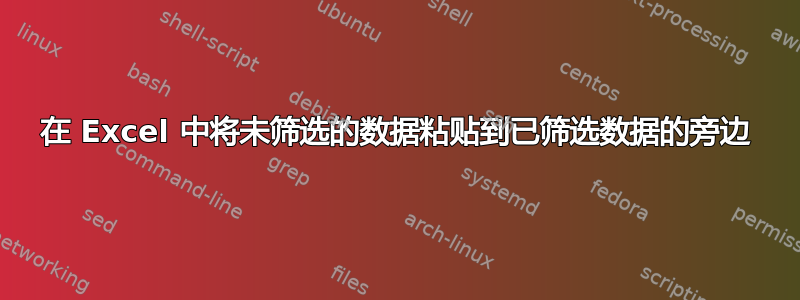 在 Excel 中将未筛选的数据粘贴到已筛选数据的旁边