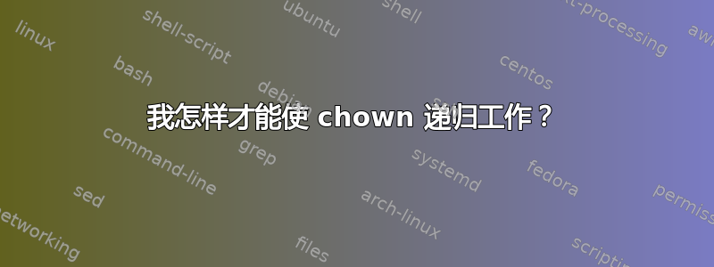 我怎样才能使 chown 递归工作？