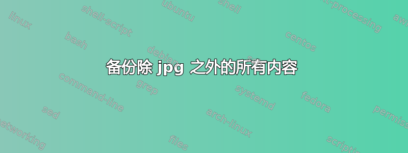 备份除 jpg 之外的所有内容