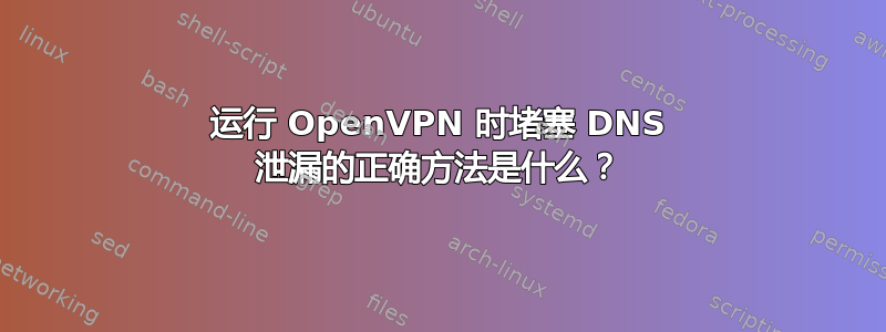 运行 OpenVPN 时堵塞 DNS 泄漏的正确方法是什么？