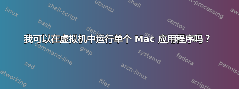 我可以在虚拟机中运行单个 Mac 应用程序吗？