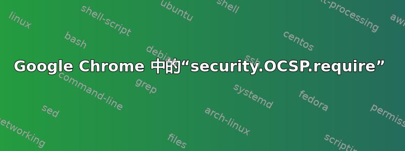 Google Chrome 中的“security.OCSP.require”