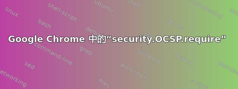 Google Chrome 中的“security.OCSP.require”