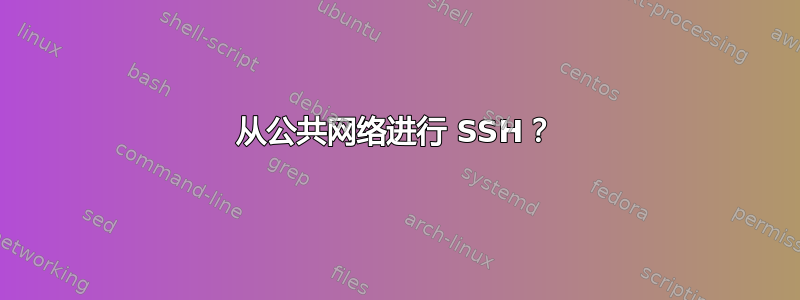 从公共网络进行 SSH？