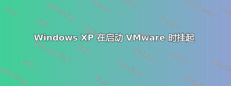 Windows XP 在启动 VMware 时挂起