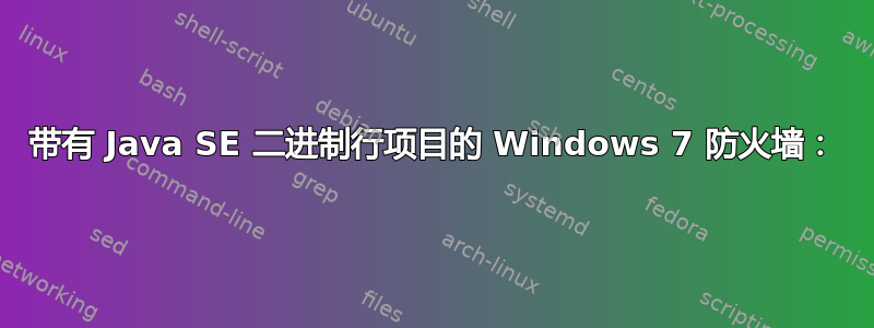 带有 Java SE 二进制行项目的 Windows 7 防火墙：