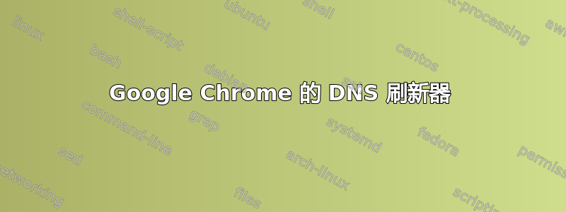 Google Chrome 的 DNS 刷新器