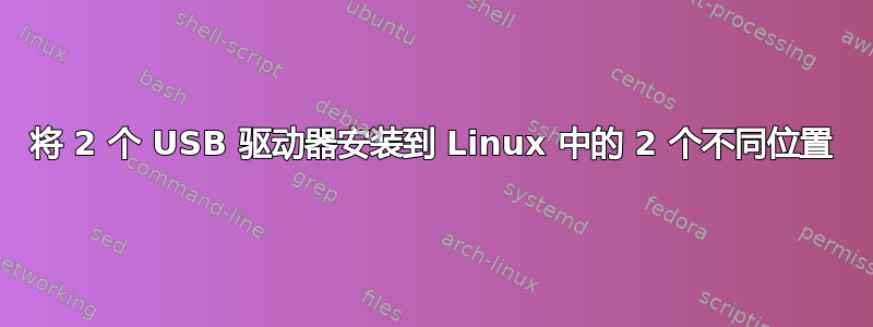 将 2 个 USB 驱动器安装到 Linux 中的 2 个不同位置